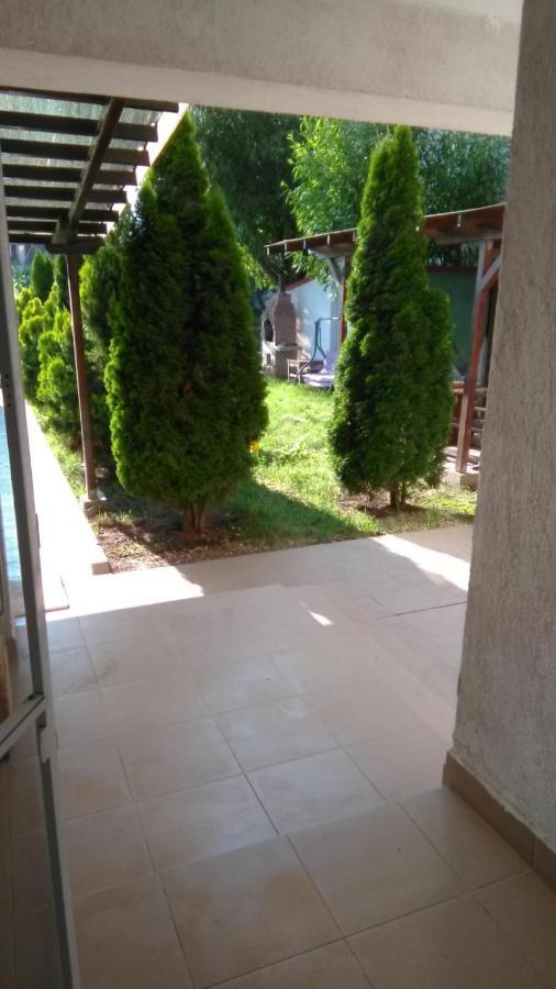 Vila Stefan Pescarusului Costinești Kültér fotó